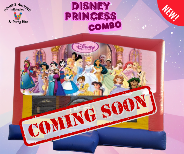 Disney Princess Combo