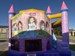 IMG 6902 1755338233 Disney Princess Glitter Castle