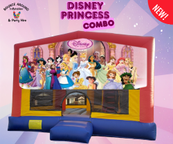 Disney Princess Combo