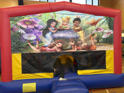 IMG 7200 1757193129 Fairy Combo