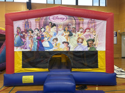 IMG 7221 1757192555 Disney Princess Combo