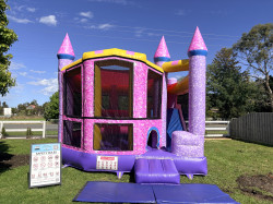 IMG 7927 1765797579 1 Glitter Combo Castle