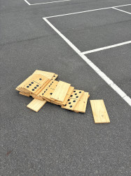 IMG 8075 1765278366 Giant Dominos