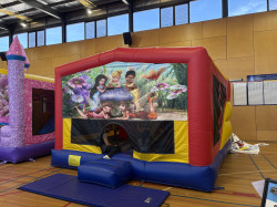 IMG 7202 1769928493 Fairy Combo