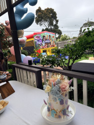 IMG 7982 1769928492 Fairy Combo