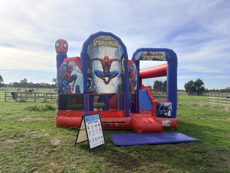 jumping castle hire Lang Lang party setup